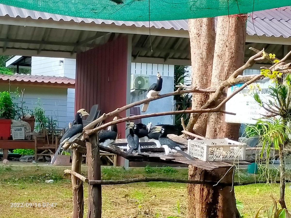Eco Bungalow Koh Phayam Exteriör bild