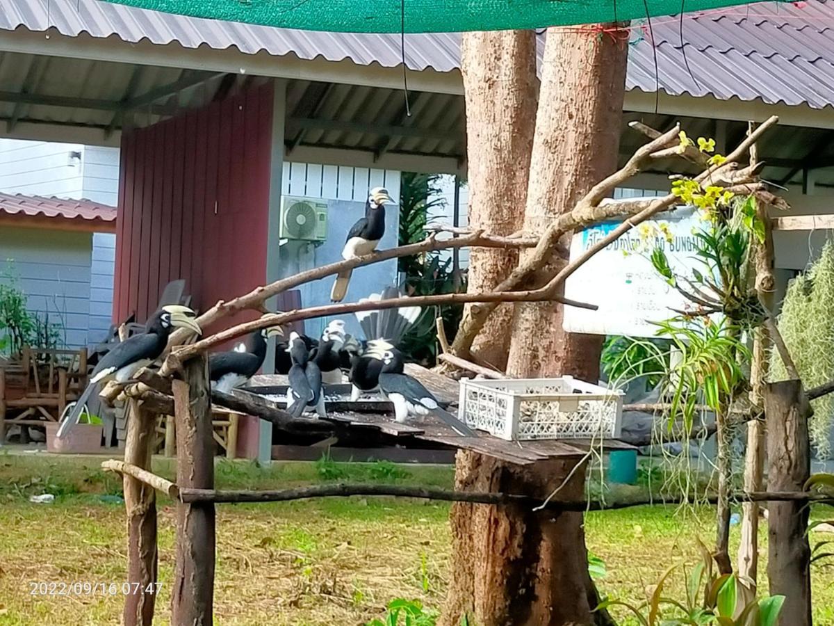 Eco Bungalow Koh Phayam Exteriör bild