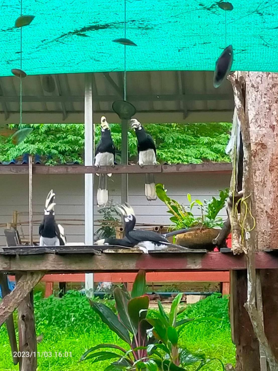 Eco Bungalow Koh Phayam Exteriör bild