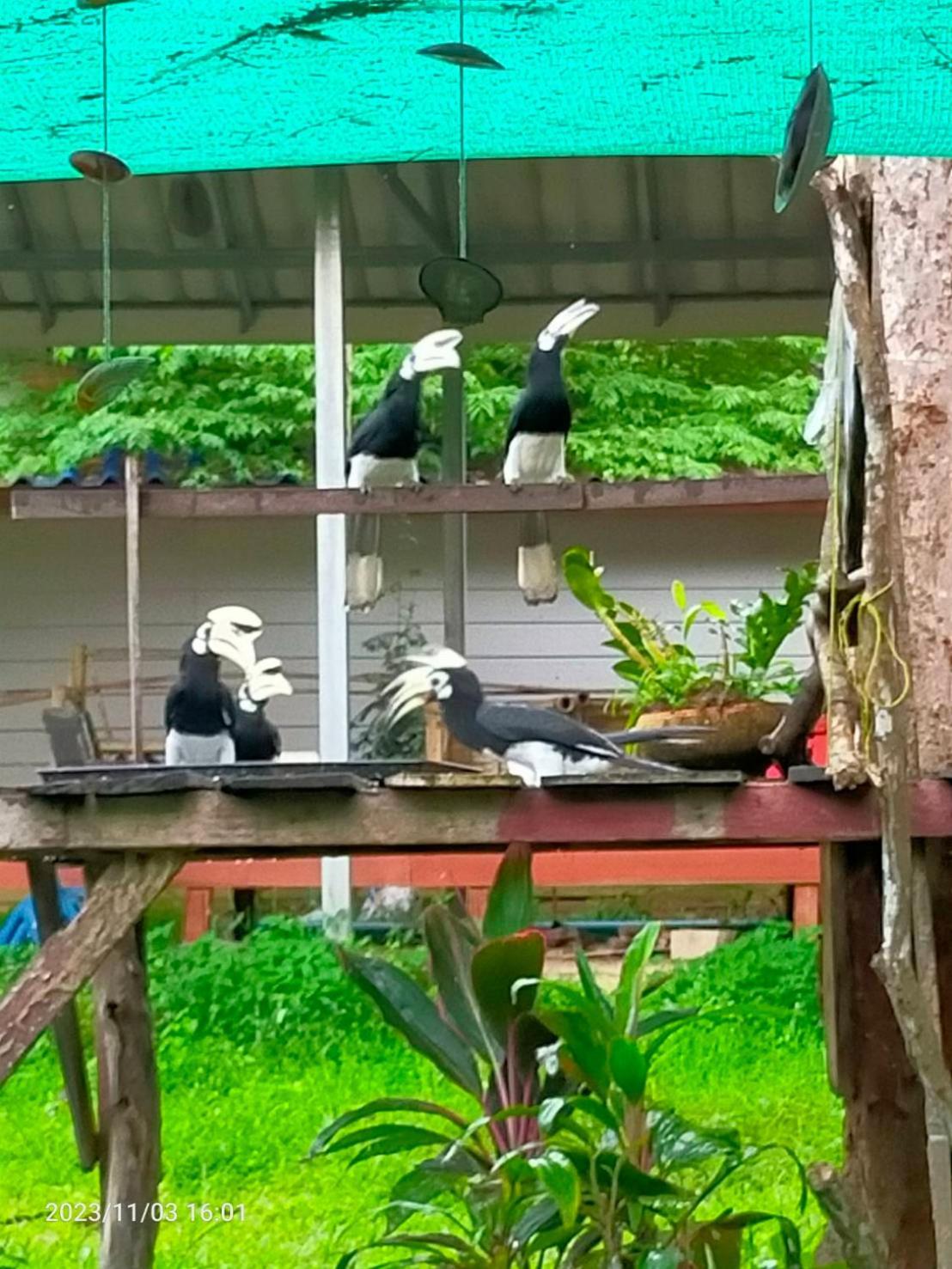 Eco Bungalow Koh Phayam Exteriör bild